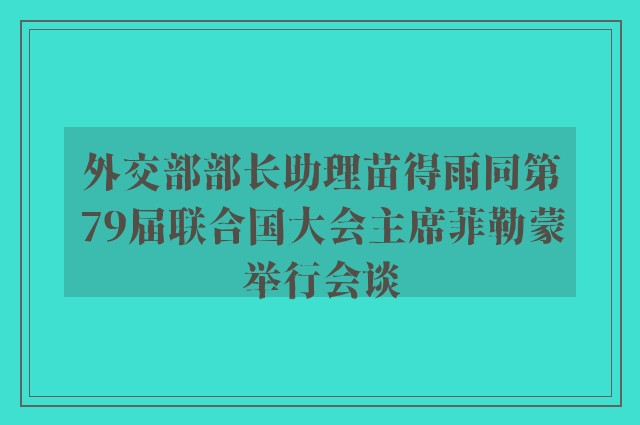 外交部部长助理苗得雨同第79届联合国大会主席菲勒蒙举行会谈