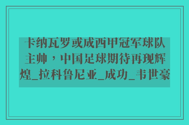 卡纳瓦罗或成西甲冠军球队主帅，中国足球期待再现辉煌_拉科鲁尼亚_成功_韦世豪