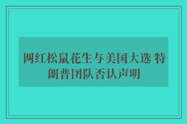 网红松鼠花生与美国大选 特朗普团队否认声明