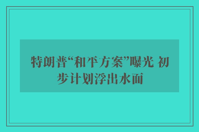 特朗普“和平方案”曝光 初步计划浮出水面