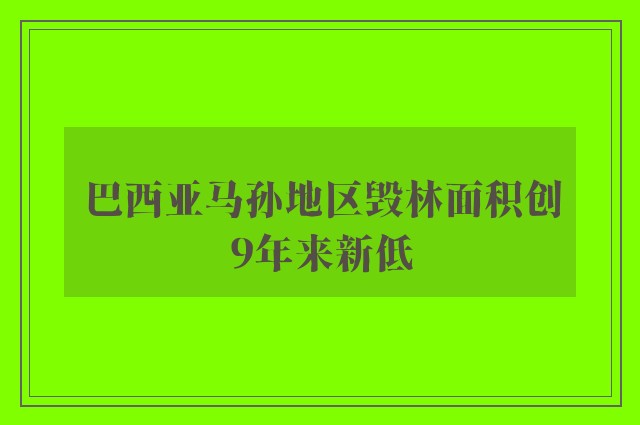 巴西亚马孙地区毁林面积创9年来新低