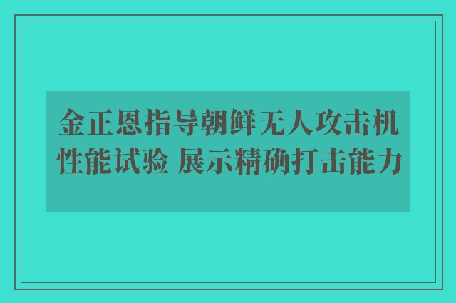 金正恩指导朝鲜无人攻击机性能试验 展示精确打击能力