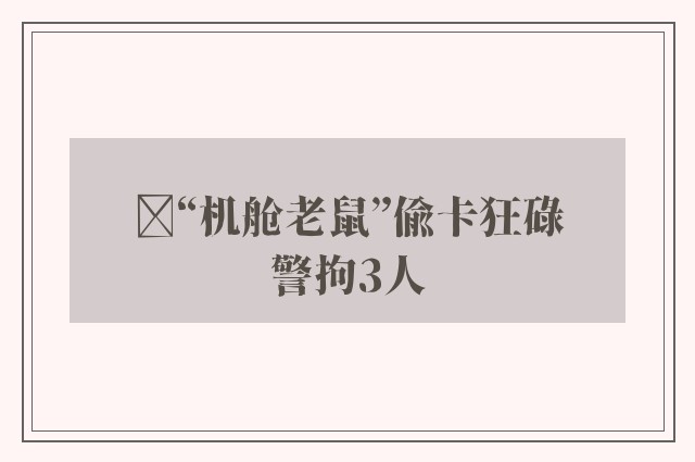 ﻿“机舱老鼠”偷卡狂碌　警拘3人