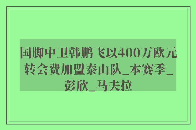 国脚中卫韩鹏飞以400万欧元转会费加盟泰山队_本赛季_彭欣_马夫拉