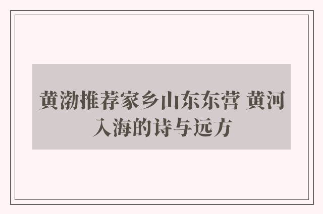 黄渤推荐家乡山东东营 黄河入海的诗与远方