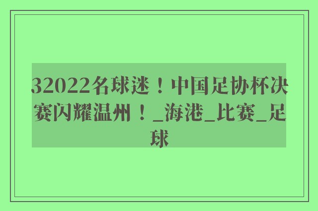 32022名球迷！中国足协杯决赛闪耀温州！_海港_比赛_足球