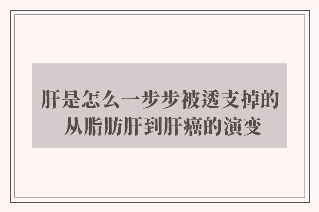 肝是怎么一步步被透支掉的 从脂肪肝到肝癌的演变