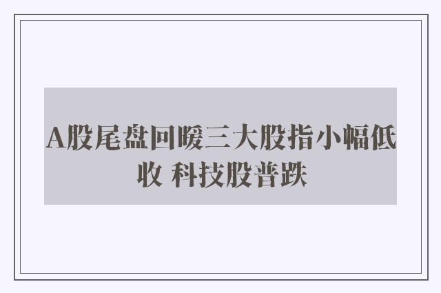 A股尾盘回暖三大股指小幅低收 科技股普跌