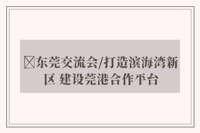 ﻿东莞交流会/打造滨海湾新区 建设莞港合作平台