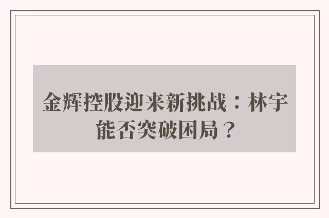 金辉控股迎来新挑战：林宇能否突破困局？