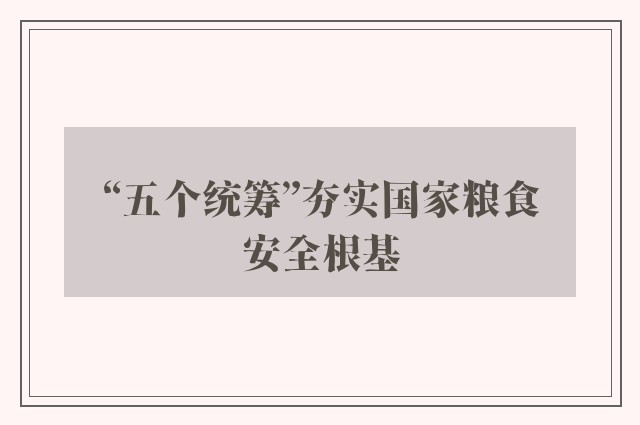 “五个统筹”夯实国家粮食安全根基