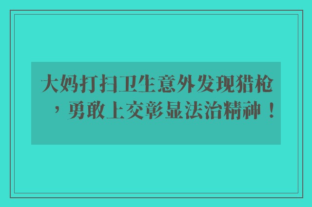 大妈打扫卫生意外发现猎枪，勇敢上交彰显法治精神！