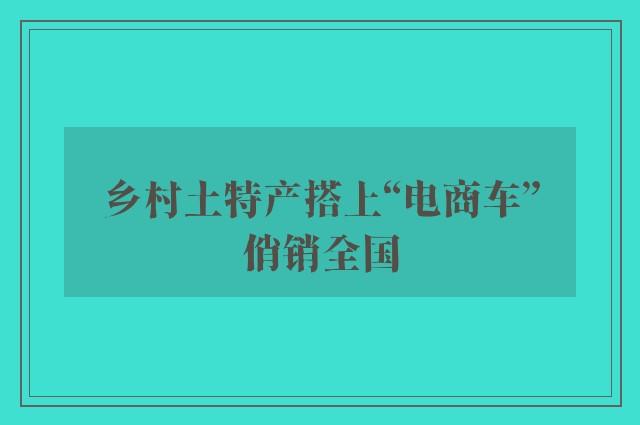 乡村土特产搭上“电商车”俏销全国