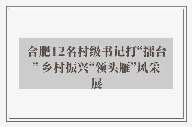 合肥12名村级书记打“擂台” 乡村振兴“领头雁”风采展